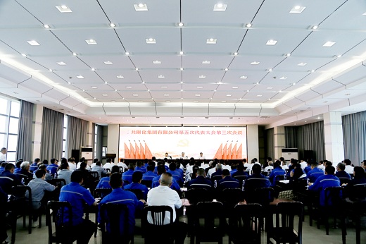 集團(tuán)公司召開黨代會(huì)補(bǔ)選兩名第五屆黨委委員