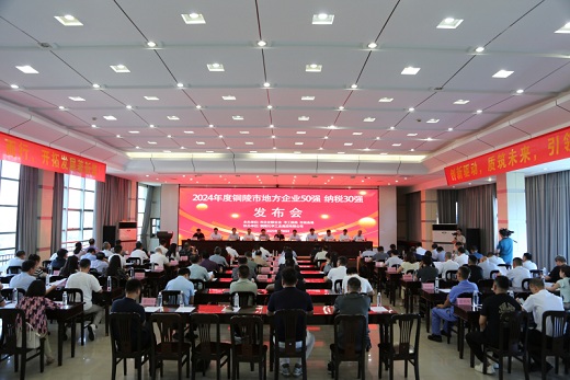 市地方企業(yè)兩個(gè)最新“強(qiáng)榜”發(fā)布    銅化集團(tuán)均位居前列