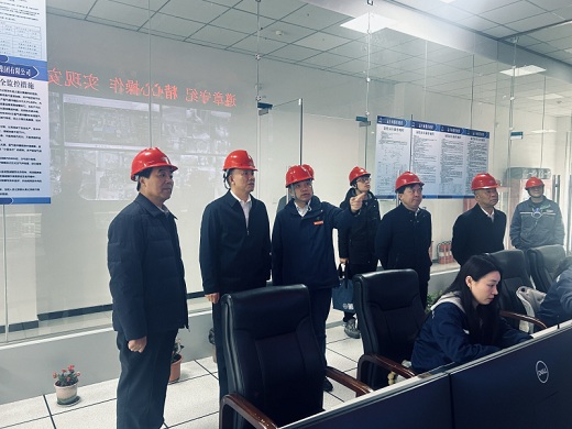 宿州市領導走訪調(diào)研中元化工