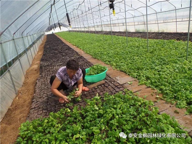 周喜安督導(dǎo)六國疫情防控復(fù)工復(fù)產(chǎn)