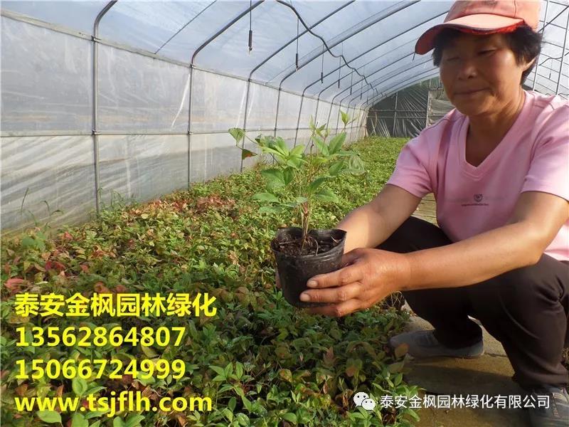 胡啟生率隊(duì)來(lái)公司專(zhuān)題調(diào)研