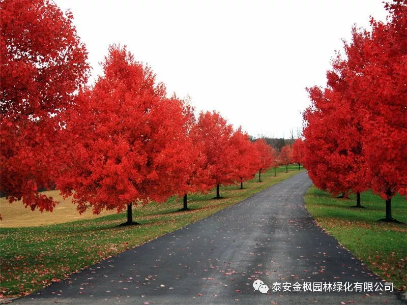 省科技廳黨組書(shū)記蔣曦來(lái)瑞嘉調(diào)研時(shí)說(shuō)——等著你們的好消息